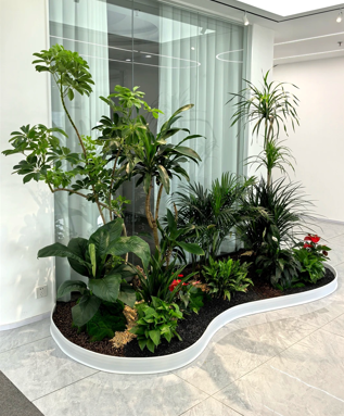 余姚植物租摆哪家好？看这几家脱颖而出的优质之选